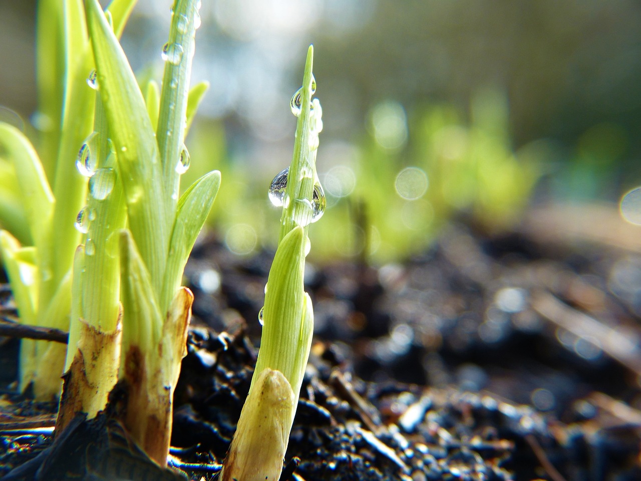 Waiting in Hope: Encountering God’s Patience through Stories of Unanswered Prayer