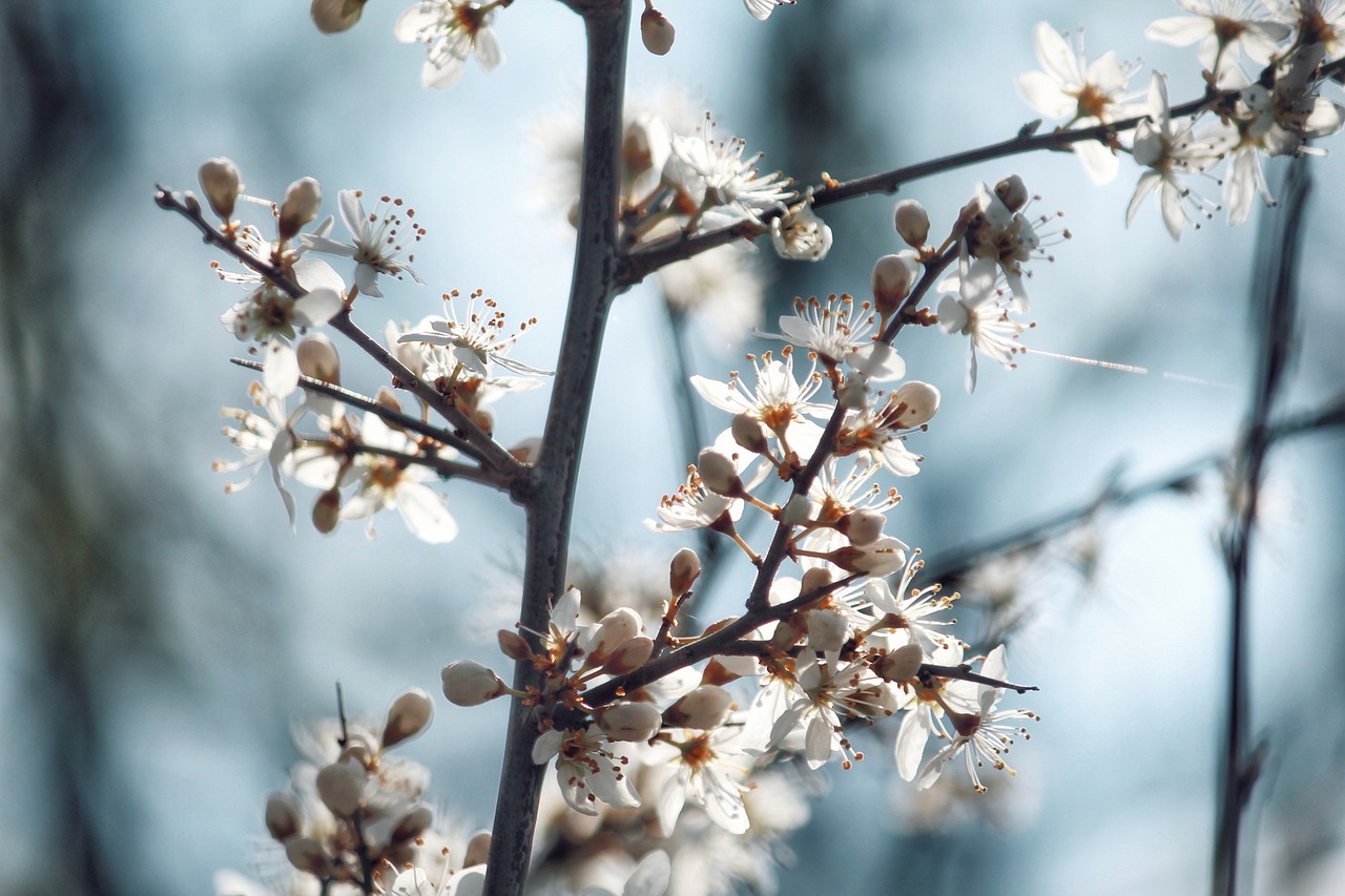 Anchored in Truth: Daily Scripture for Life’s Journey